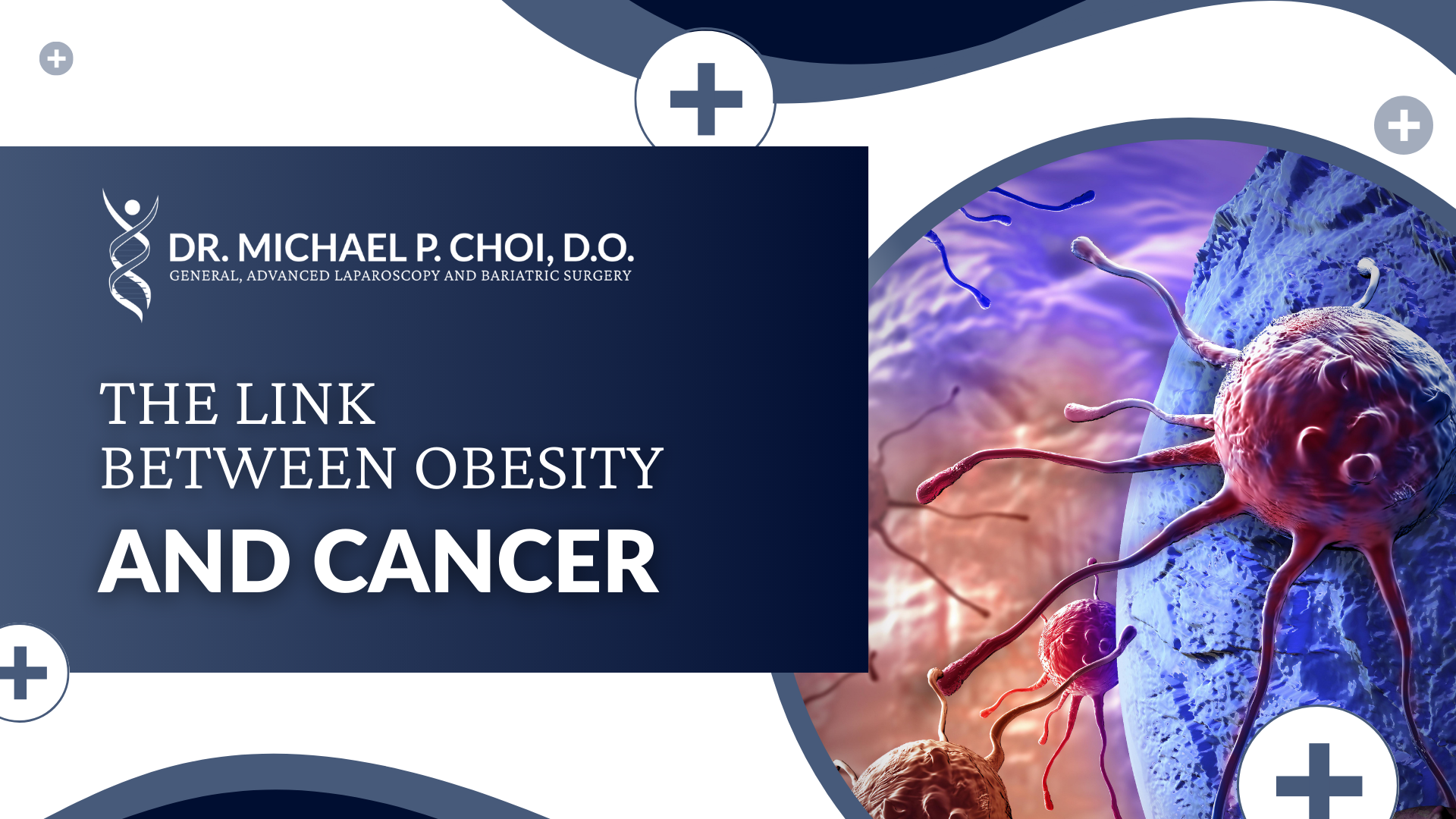 THE LINK BETWEEN OBESITY AND CANCER